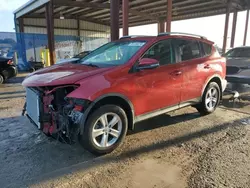 Salvage cars for sale at Riverview, FL auction: 2013 Toyota Rav4 XLE