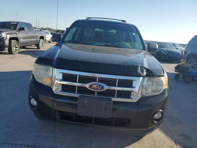 2012 Ford Escape XLT