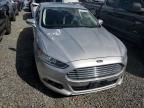 2013 Ford Fusion Titanium Phev