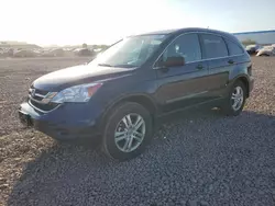 2010 Honda CR-V EX en venta en Phoenix, AZ