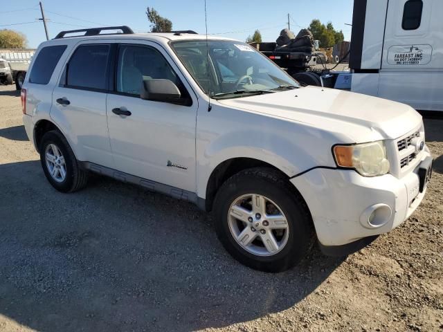 2011 Ford Escape Hybrid