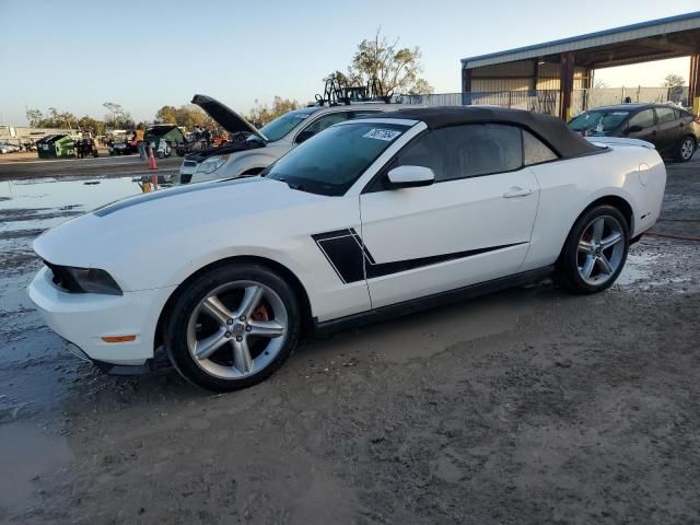 2010 Ford Mustang GT