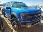 2021 Ford F150 Raptor