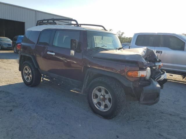 2007 Toyota FJ Cruiser