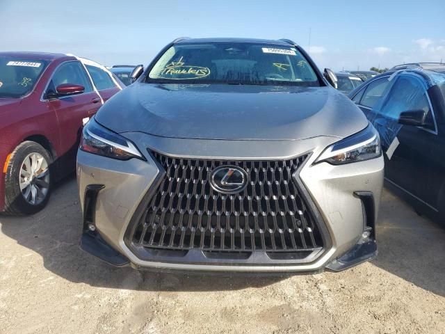 2023 Lexus NX 350