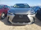 2023 Lexus NX 350