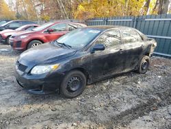 Salvage cars for sale at Candia, NH auction: 2010 Toyota Corolla Base