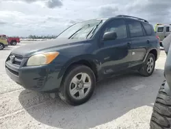 Salvage cars for sale from Copart Arcadia, FL: 2010 Toyota Rav4