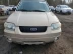 2007 Ford Escape XLT