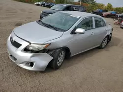 Salvage cars for sale at Montreal Est, QC auction: 2009 Toyota Corolla Base