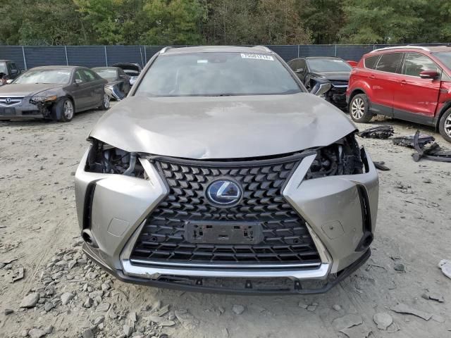 2020 Lexus UX 250H