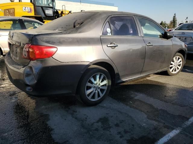 2010 Toyota Corolla Base