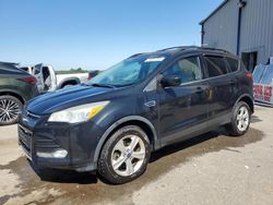 Salvage cars for sale at Memphis, TN auction: 2013 Ford Escape SE