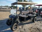 2021 Ppsp Golf Cart