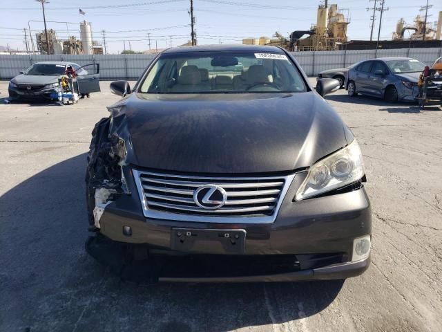 2010 Lexus ES 350