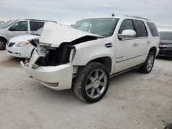 Salvage cars for sale at Arcadia, FL auction: 2011 Cadillac Escalade Premium