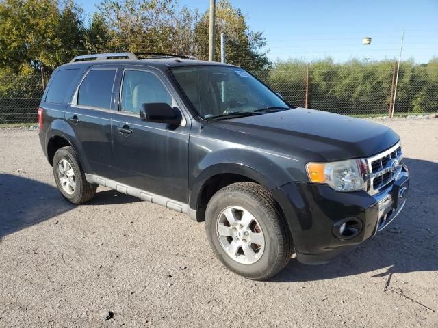 2009 Ford Escape Limited