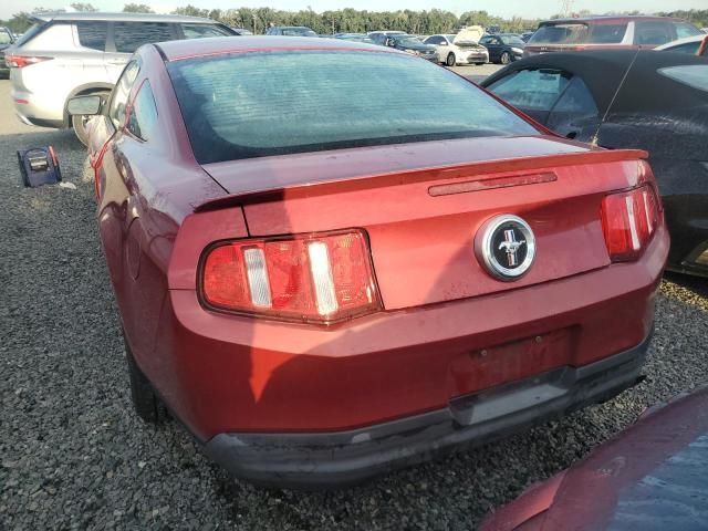 2010 Ford Mustang