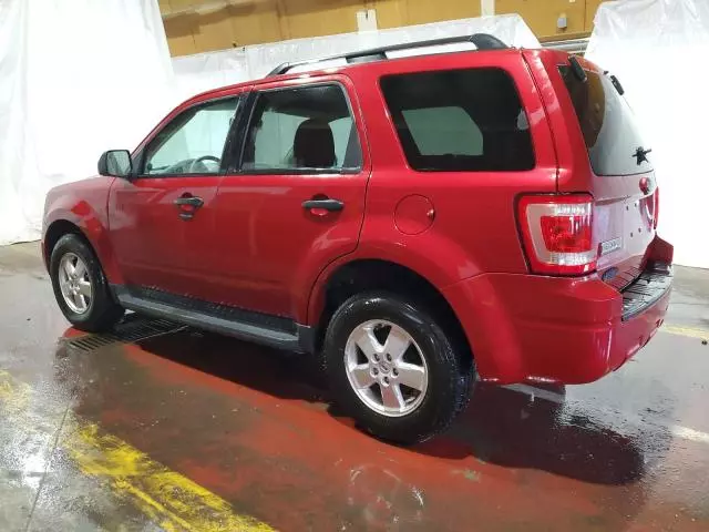 2009 Ford Escape XLT