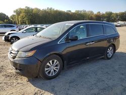 Honda salvage cars for sale: 2014 Honda Odyssey EXL