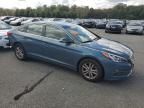 2016 Hyundai Sonata ECO