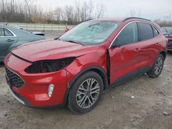 Ford Escape sel salvage cars for sale: 2020 Ford Escape SEL