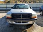 2001 Dodge Dakota