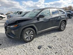 2023 Hyundai Tucson Blue en venta en Wayland, MI