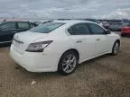 2014 Nissan Maxima S