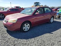 2006 Chevrolet Malibu LT en venta en Riverview, FL