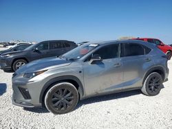 2019 Lexus NX 300 Base en venta en Taylor, TX