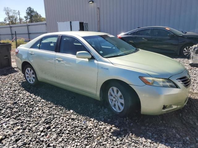 2007 Toyota Camry Hybrid