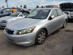 Salvage cars for sale at Riverview, FL auction: 2010 Honda Accord EXL