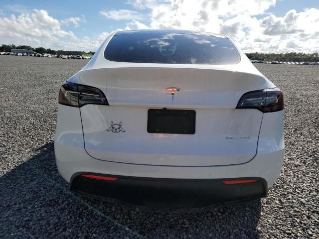 2020 Tesla Model Y