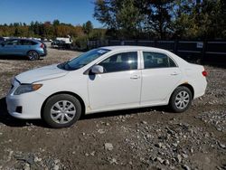 Salvage cars for sale at Candia, NH auction: 2010 Toyota Corolla Base