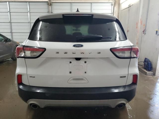 2020 Ford Escape SE Sport