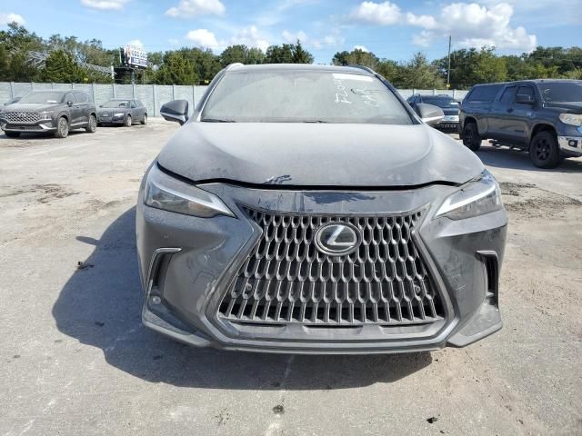 2024 Lexus NX 350H Base