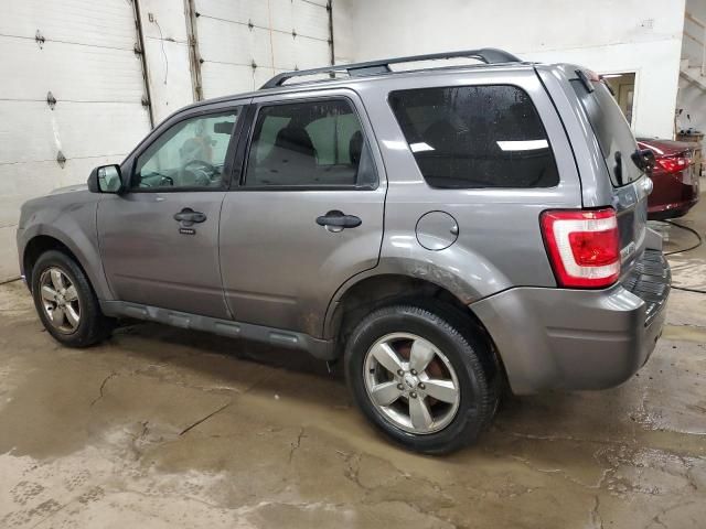 2010 Ford Escape XLT