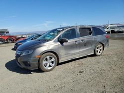 Salvage cars for sale at American Canyon, CA auction: 2019 Honda Odyssey EXL