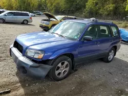 Subaru salvage cars for sale: 2004 Subaru Forester 2.5X