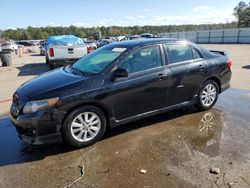 Salvage cars for sale at Harleyville, SC auction: 2010 Toyota Corolla Base