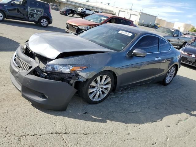 2009 Honda Accord EXL