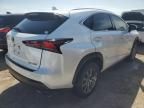 2020 Lexus NX 300 Base