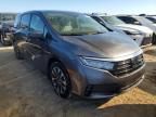 2024 Honda Odyssey EXL