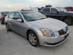 2004 Nissan Maxima SE