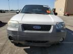 2005 Ford Escape XLT