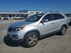 KIA salvage cars for sale: 2013 KIA Sorento EX