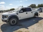 2013 Ford F150 SVT Raptor