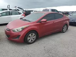 Salvage cars for sale at Arcadia, FL auction: 2016 Hyundai Elantra SE