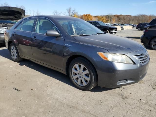 2008 Toyota Camry Hybrid